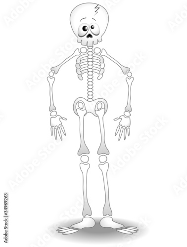 Scheletro Umano Cartoon-Human Skeleton Anatomy-Vector