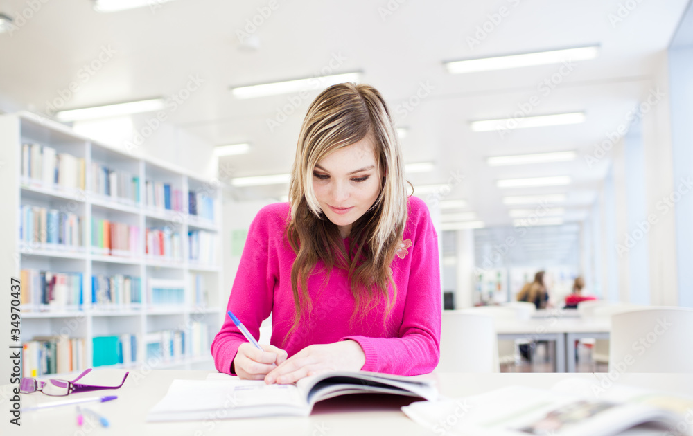 in the library - pretty, female student with laptop and books wo in the library - pretty, female student with laptop and books wo
