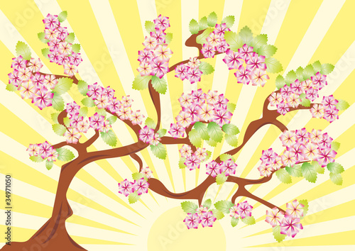 Spring card with sakura. vector illustration