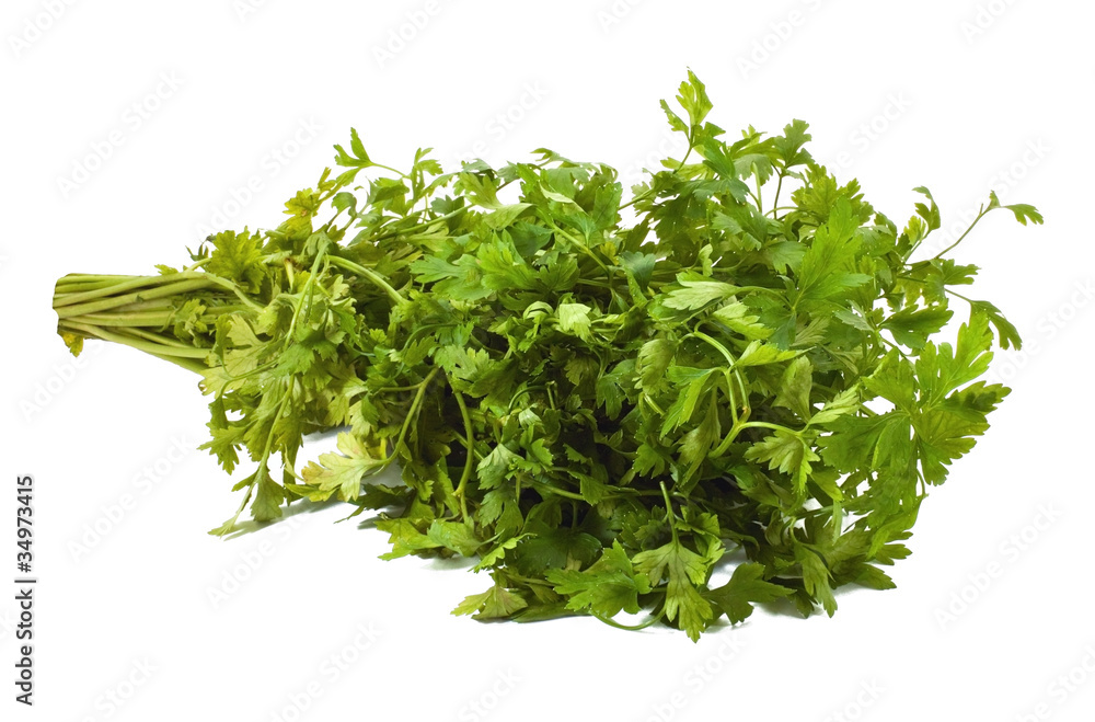 Fototapeta premium Parsley
