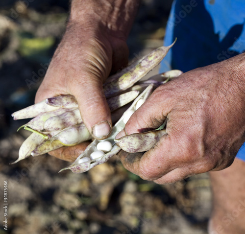 mains d'agriculteur photo