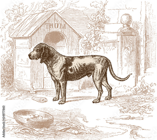 Chien de garde