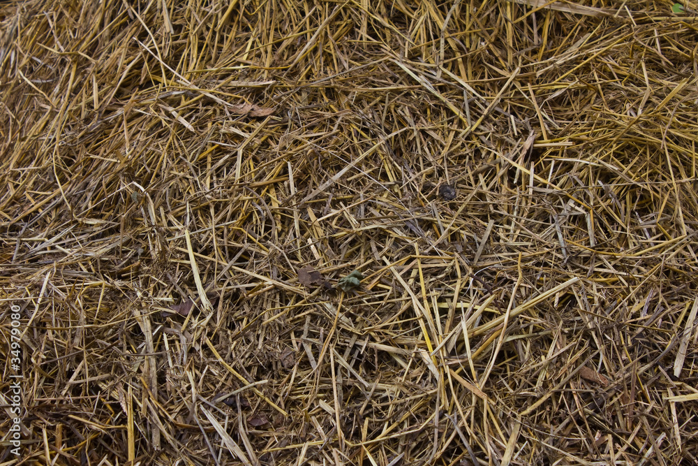 Close up straw texture