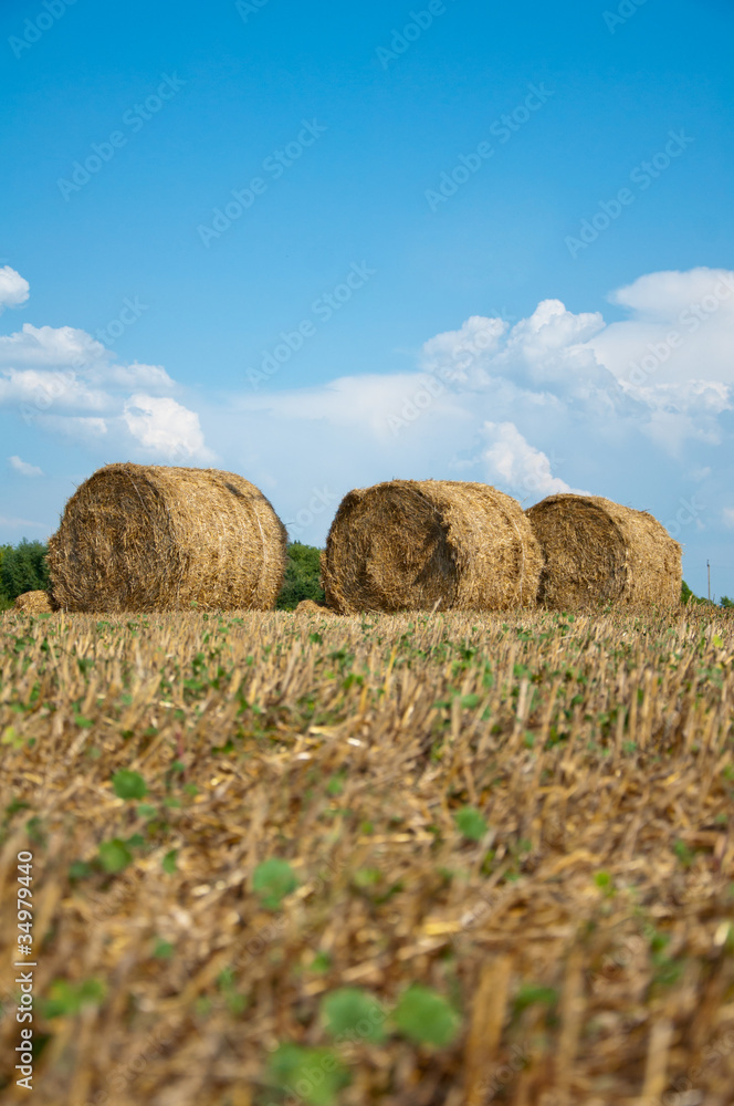 Sloping field with bales of straw