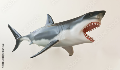 A Great White Shark Model Against White