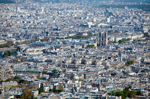 La Cite island - aerial view from Eiffel Tower, Paris, France © Rostislav Ageev