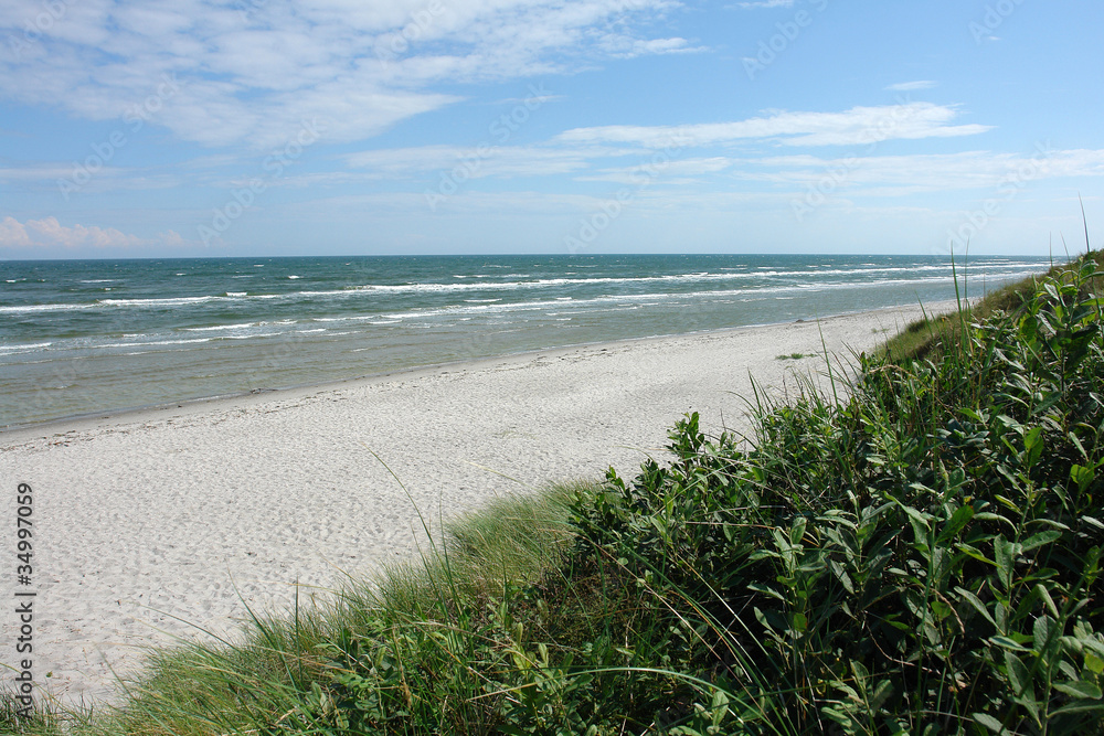 Typical landscape West Coast in Denmark Typical landscape West Coast in Denmark