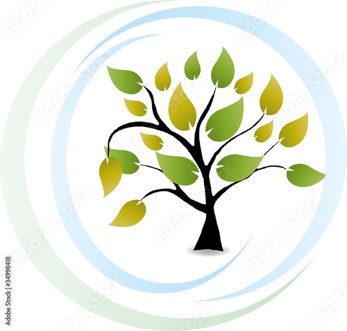 Baum, Blätter, Bio, Eco
