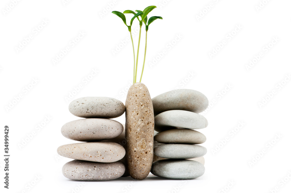 Pebbles and seedlings - alternative medicine concept