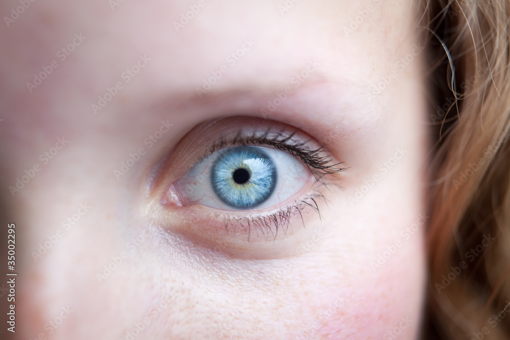 Close-up of a beautiful female blue eye Close-up of a beautiful female blue eye