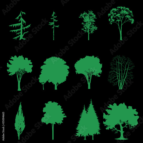 set of different tree