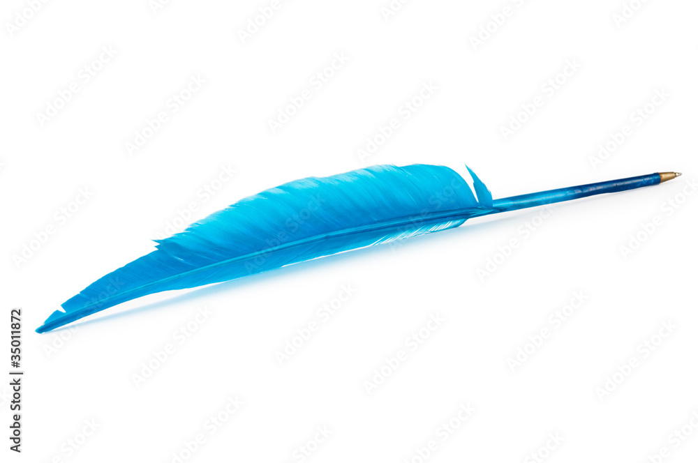 Writing feather isolated on the white background Writing feather isolated on the white background