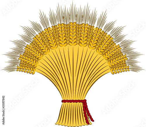 Vector sheaf of wheat on a white background