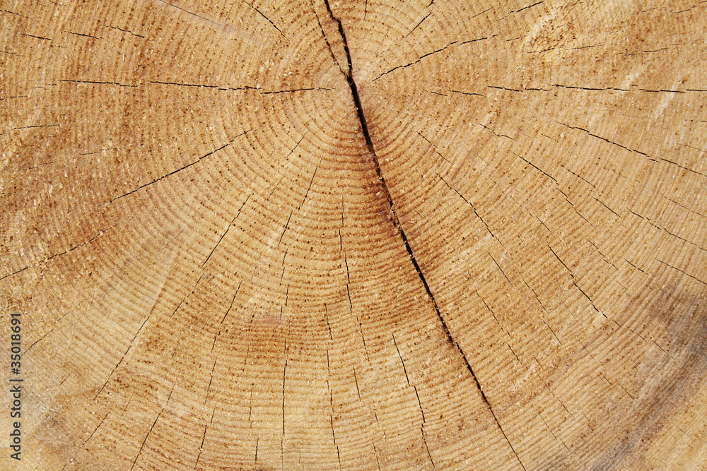 Fototapeta premium Pęknięty podłoże drewniane, naturalna powierzchnia