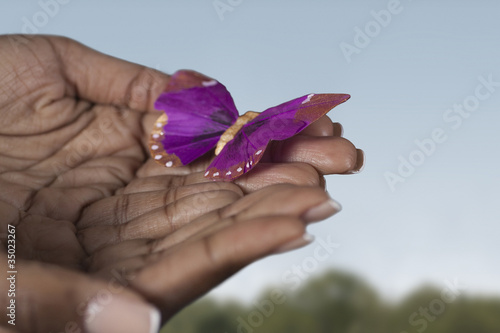 Black woman’s hands holding purple butterfly photo