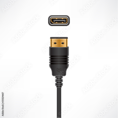 Display Port cable