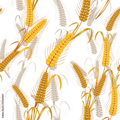 Seamless pattern with wheat ears