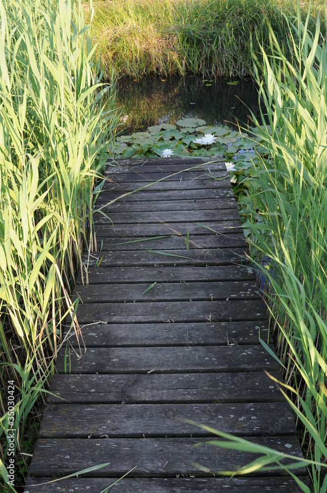 Wassersteg, Steg, Teich, Gartenteich StockFoto Adobe Stock