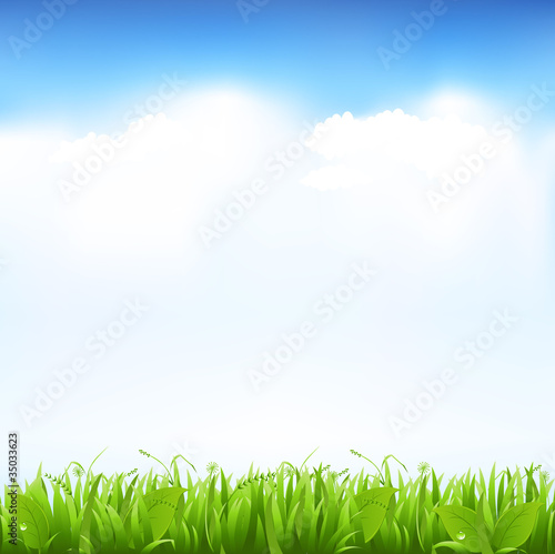 Grass And Sky