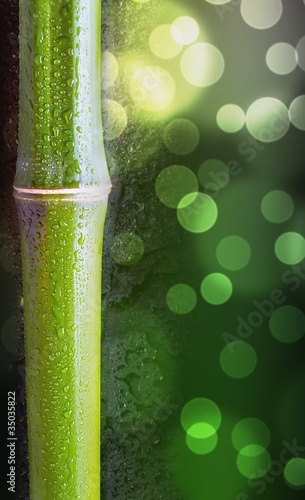 Wet bamboo on black background