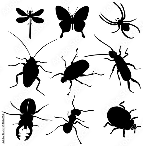 insekten design set
