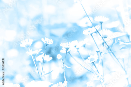 blue abstract flowers background