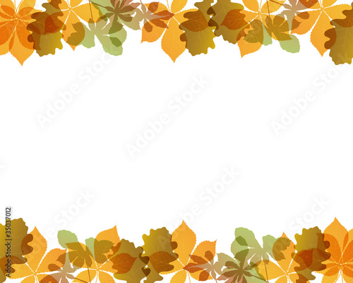 colored leaves background