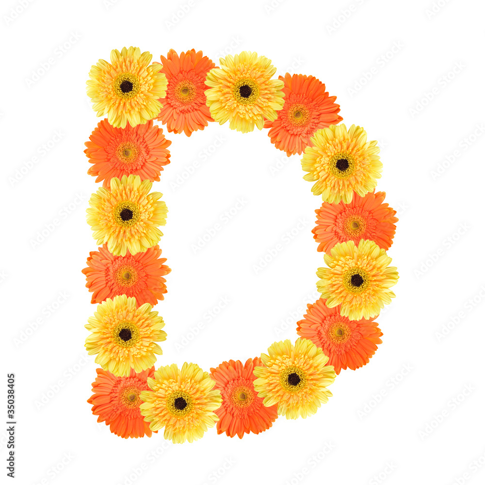 Alphabet D created by flower