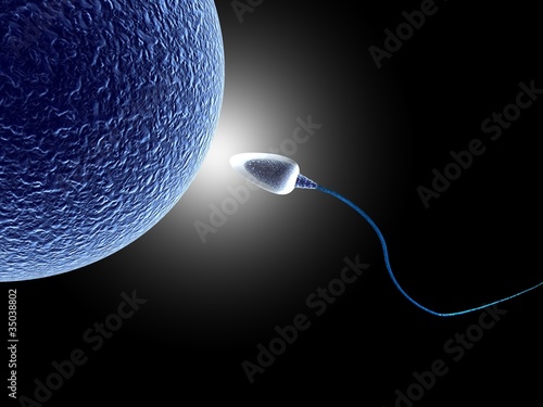 Fotografie human sperm