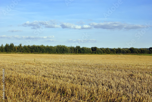 empty field in rural areas