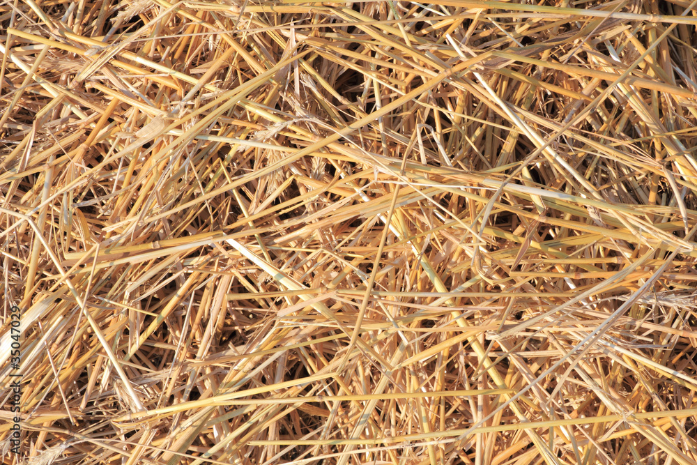 dry straw texture