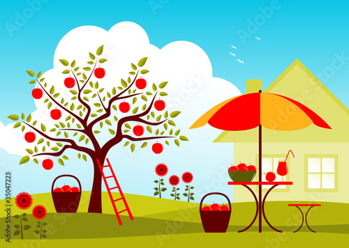 apple harvest