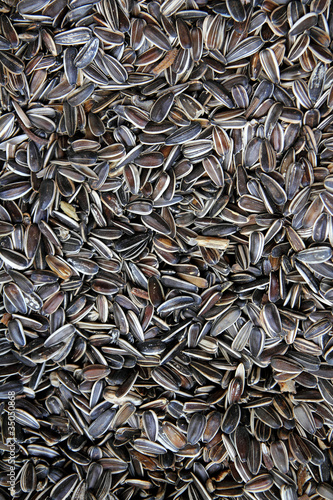 sunflower seed pattern food background