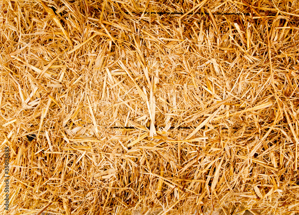 bale golden straw texture ruminants animal food bale golden straw texture ruminants animal food
