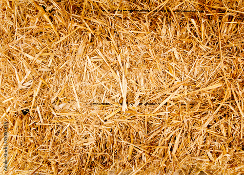 bale golden straw texture ruminants animal food photo