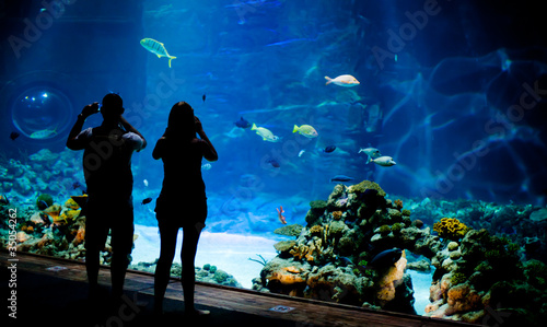 Real underwater background ...