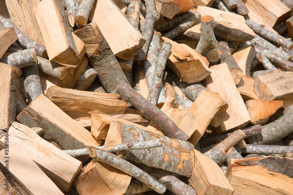 Monton de madera, Sierra de Urbasa, Navarra, España Monton de madera, Sierra de Urbasa, Navarra, España