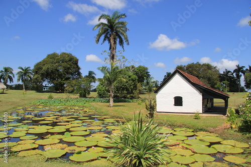 Suriname - Fort Nieuw AMSTERDAM