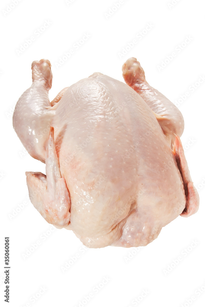 chicken chicken