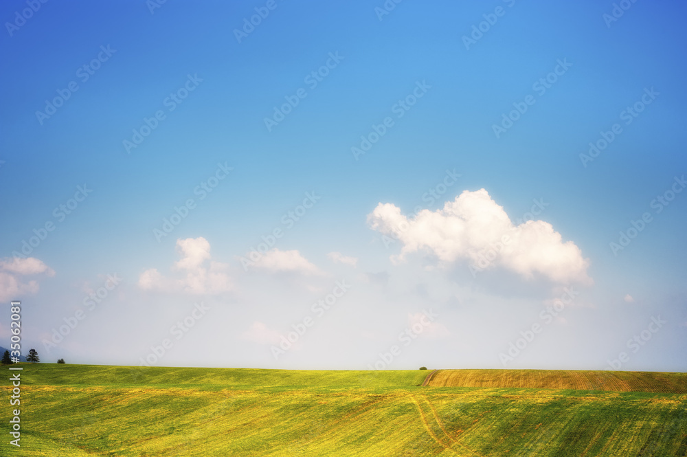 Late summer horizon with cloud