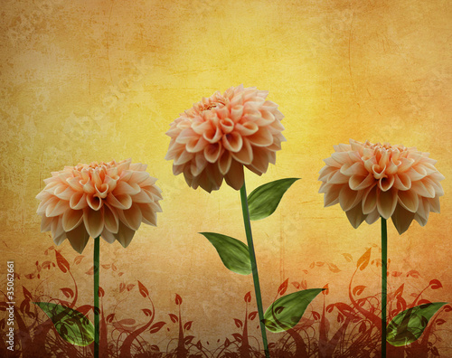 Fototapeta Naklejka Na Ścianę i Meble -  Composizione di dalie su sfondo vintage