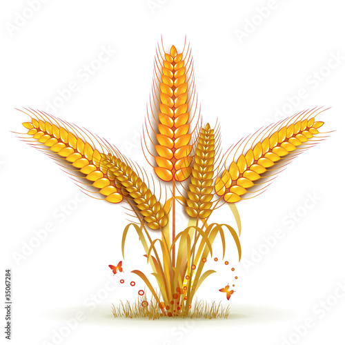 Wheat sheaf arrangement