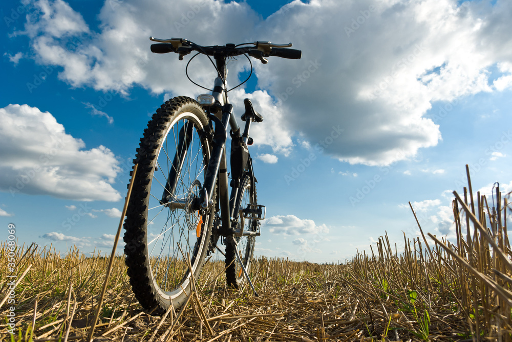 Fototapeta premium bike