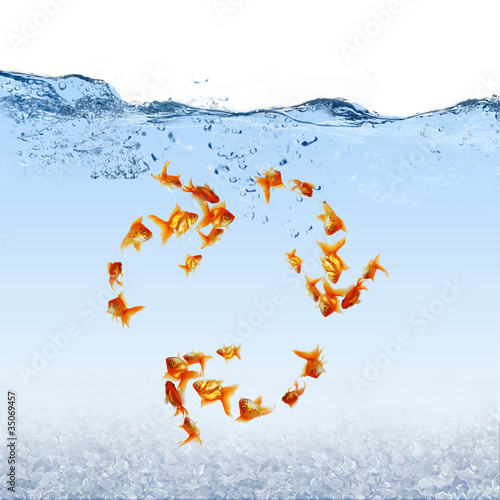 Swimming gold fish and money symbols