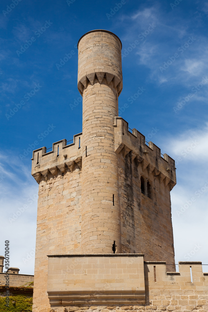 Fototapeta premium Castillo de Olite, Navarra, España