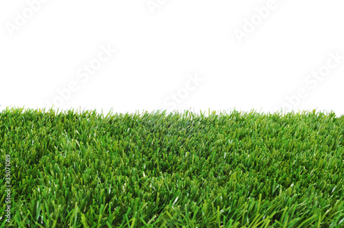 grass photo