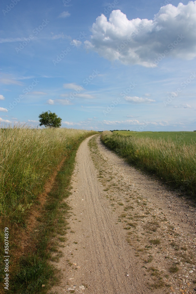 ländlicher feldweg