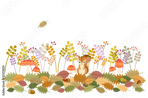 autumn-w