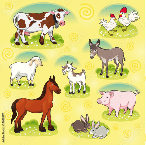 Farm animals. Vector and cartoon isolated characters.