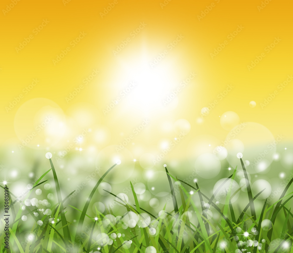 Obraz premium spring and nature background